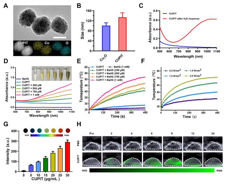 https://cdn.ncbi.nlm.nih.gov/pmc/blobs/b0c1/12374590/0615514f80ca/thnov15p8320g002.jpg