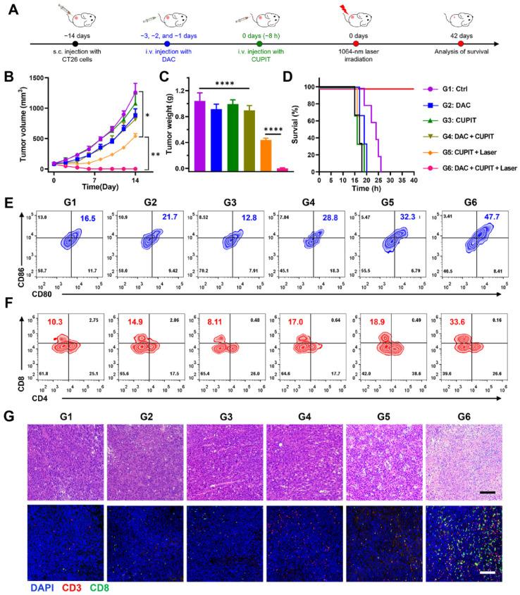 https://cdn.ncbi.nlm.nih.gov/pmc/blobs/b0c1/12374590/33518c102d95/thnov15p8320g006.jpg