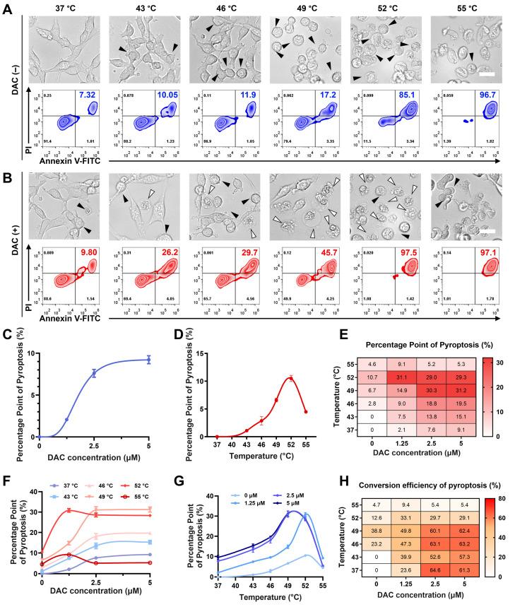 https://cdn.ncbi.nlm.nih.gov/pmc/blobs/b0c1/12374590/877a09e34520/thnov15p8320g004.jpg