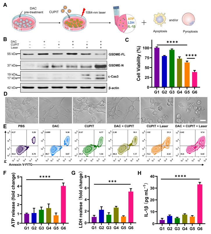 https://cdn.ncbi.nlm.nih.gov/pmc/blobs/b0c1/12374590/9ba487d3f870/thnov15p8320g003.jpg