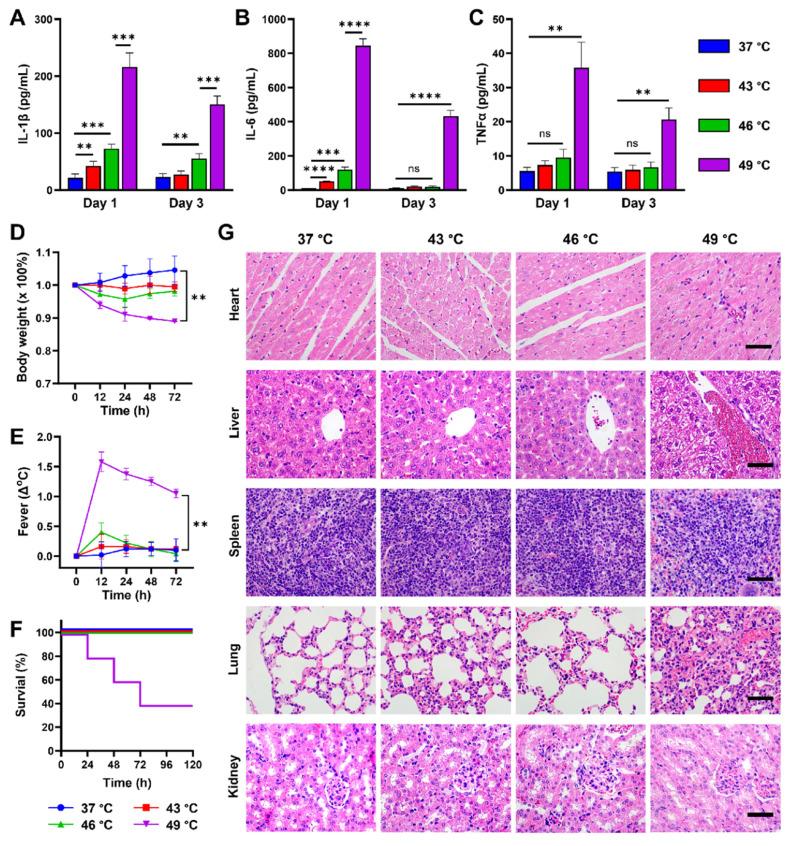 https://cdn.ncbi.nlm.nih.gov/pmc/blobs/b0c1/12374590/de5c41a56b7f/thnov15p8320g005.jpg