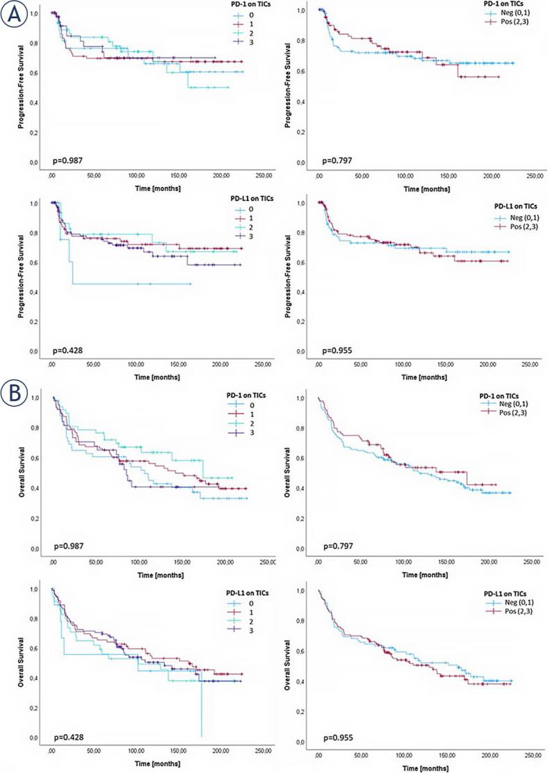 https://cdn.ncbi.nlm.nih.gov/pmc/blobs/b0c3/10878775/eba514c09aec/j_raon-2024-0010_fig_003.jpg