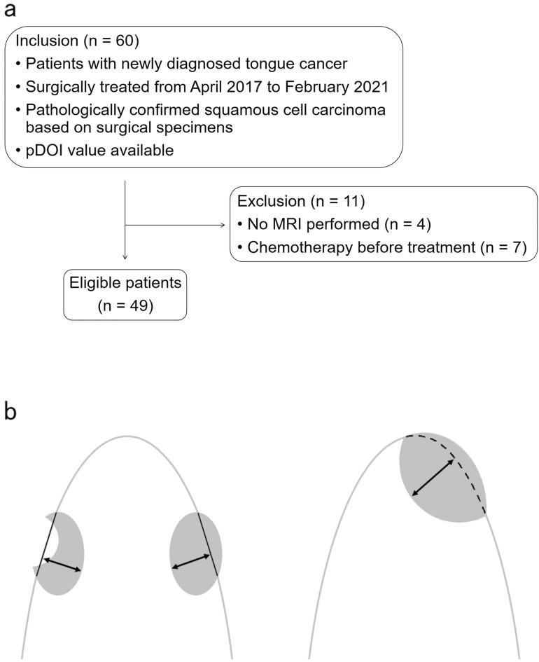 https://cdn.ncbi.nlm.nih.gov/pmc/blobs/b0c3/11996252/a844b8ceed09/mrms-24-210-g1.jpg