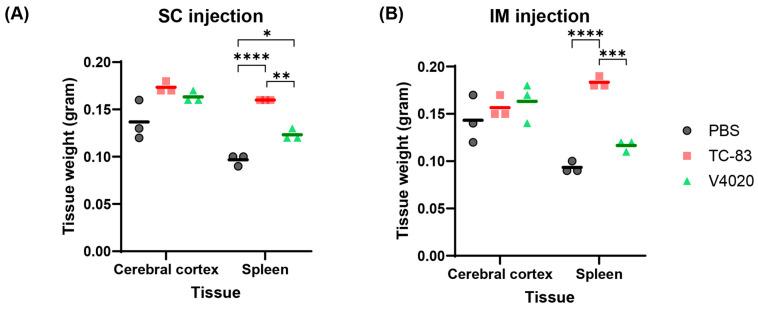 https://cdn.ncbi.nlm.nih.gov/pmc/blobs/b0c3/12390694/46673cae4511/viruses-17-01136-g005.jpg