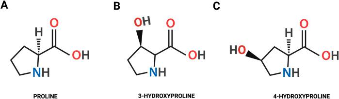 https://cdn.ncbi.nlm.nih.gov/pmc/blobs/b0c5/12123091/15ce16c4eb93/fcell-13-1556770-g001.jpg