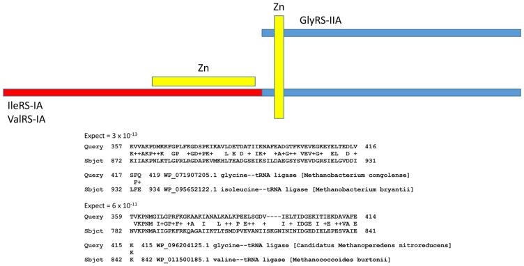 https://cdn.ncbi.nlm.nih.gov/pmc/blobs/b0c6/10672568/d20dc482d50a/life-13-02224-g011.jpg