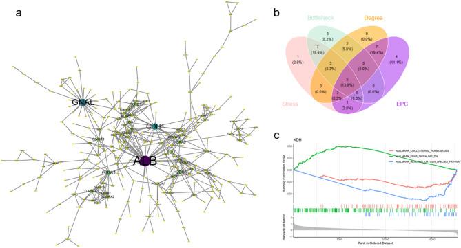 https://cdn.ncbi.nlm.nih.gov/pmc/blobs/b0c6/12350731/527287fef8c4/41598_2025_11667_Fig4_HTML.jpg