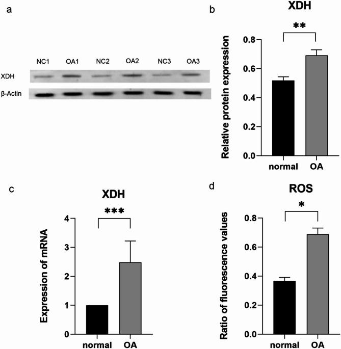 https://cdn.ncbi.nlm.nih.gov/pmc/blobs/b0c6/12350731/59657b7bc0cc/41598_2025_11667_Fig8_HTML.jpg