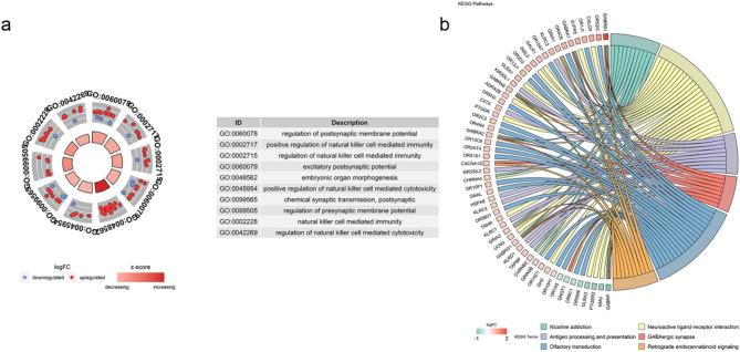 https://cdn.ncbi.nlm.nih.gov/pmc/blobs/b0c6/12350731/738134c07c1b/41598_2025_11667_Fig3_HTML.jpg