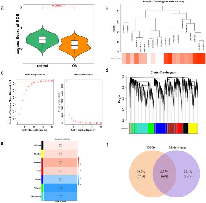 https://cdn.ncbi.nlm.nih.gov/pmc/blobs/b0c6/12350731/db588b47452a/41598_2025_11667_Fig2_HTML.jpg
