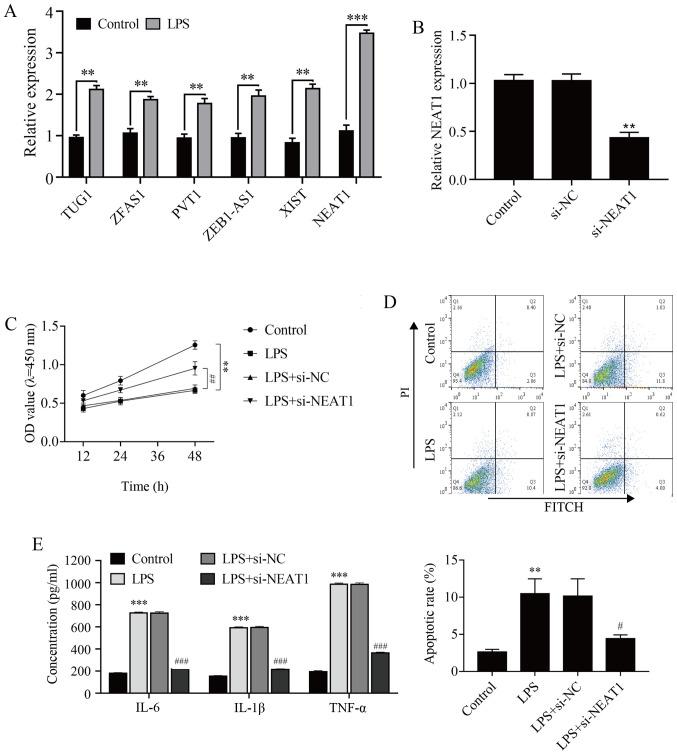 https://cdn.ncbi.nlm.nih.gov/pmc/blobs/b0c6/8515508/08be877699da/etm-22-06-10795-g01.jpg