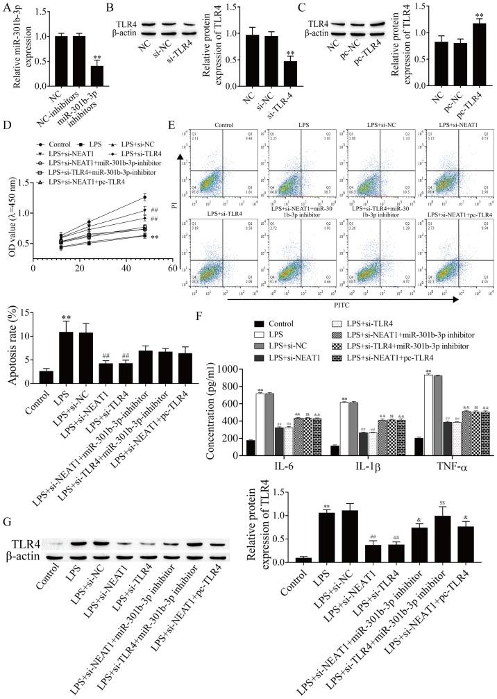 https://cdn.ncbi.nlm.nih.gov/pmc/blobs/b0c6/8515508/2673c3e246da/etm-22-06-10795-g03.jpg