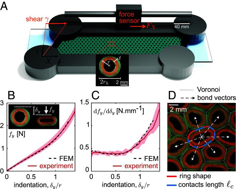 https://cdn.ncbi.nlm.nih.gov/pmc/blobs/b0c7/11626199/e6b0650cd1f3/pnas.2408706121fig01.jpg