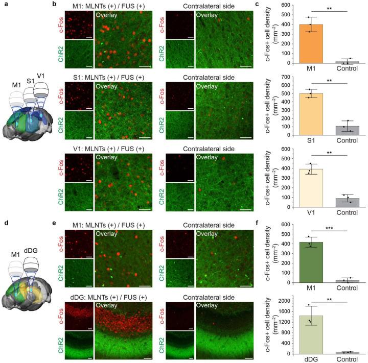 https://cdn.ncbi.nlm.nih.gov/pmc/blobs/b0c7/12204340/3432fef8ca0f/nihpp-rs6773130v1-f0006.jpg