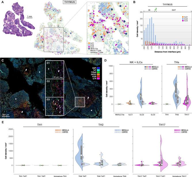 https://cdn.ncbi.nlm.nih.gov/pmc/blobs/b0c8/12081901/c63f0dc07105/41467_2025_59811_Fig4_HTML.jpg