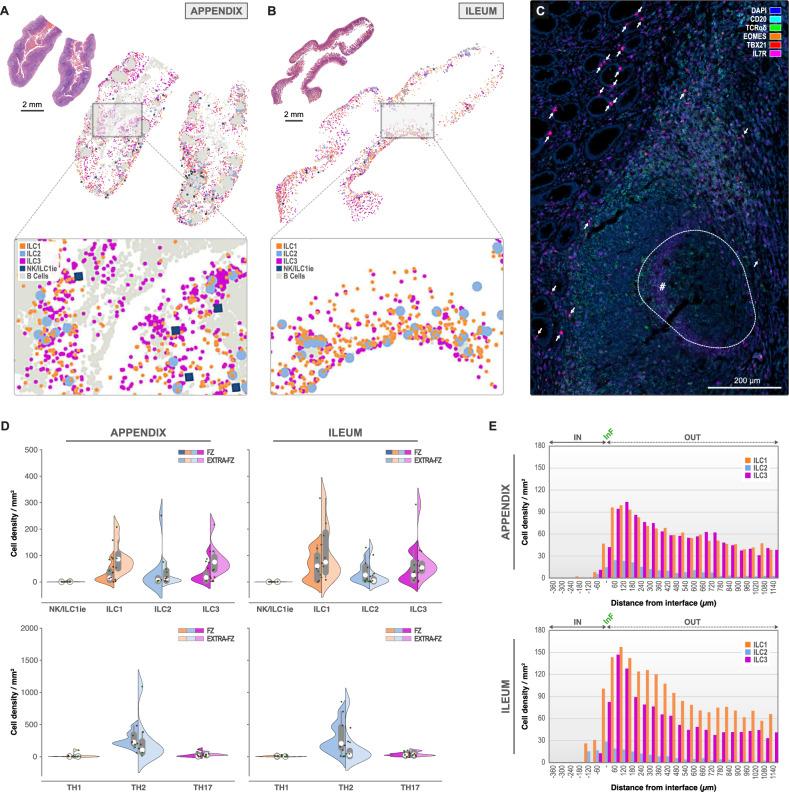 https://cdn.ncbi.nlm.nih.gov/pmc/blobs/b0c8/12081901/d26d08940d7b/41467_2025_59811_Fig6_HTML.jpg