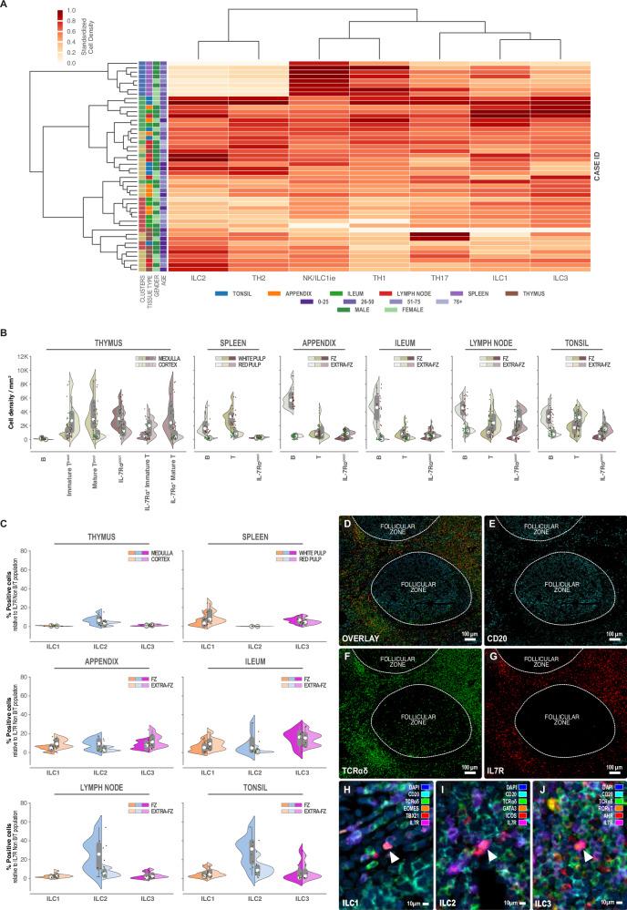 https://cdn.ncbi.nlm.nih.gov/pmc/blobs/b0c8/12081901/e745ee35afb2/41467_2025_59811_Fig2_HTML.jpg