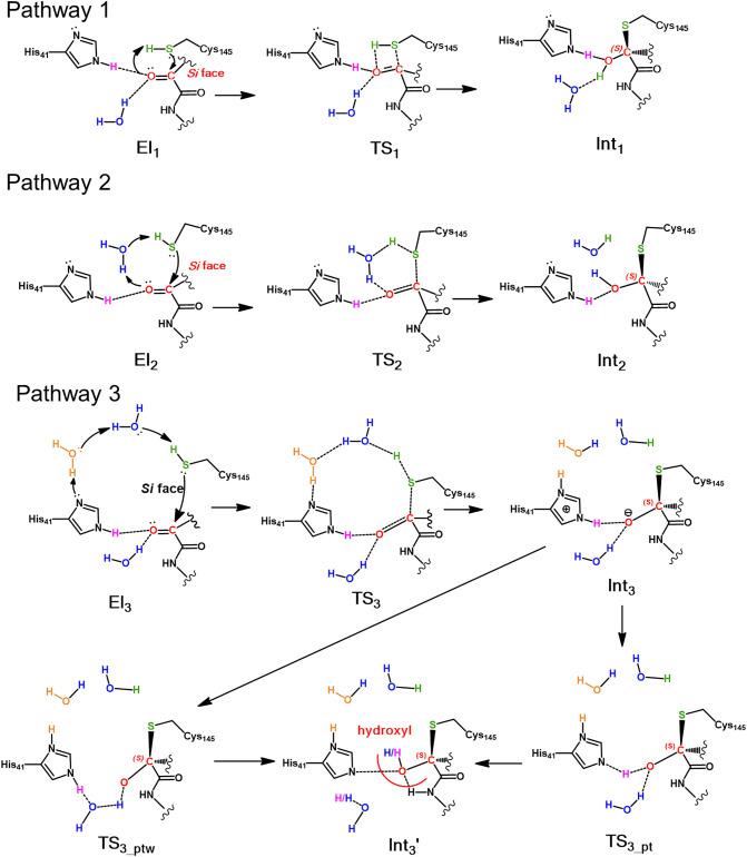 https://cdn.ncbi.nlm.nih.gov/pmc/blobs/b0c8/7695570/97789b298ed7/sc1_lrg.jpg