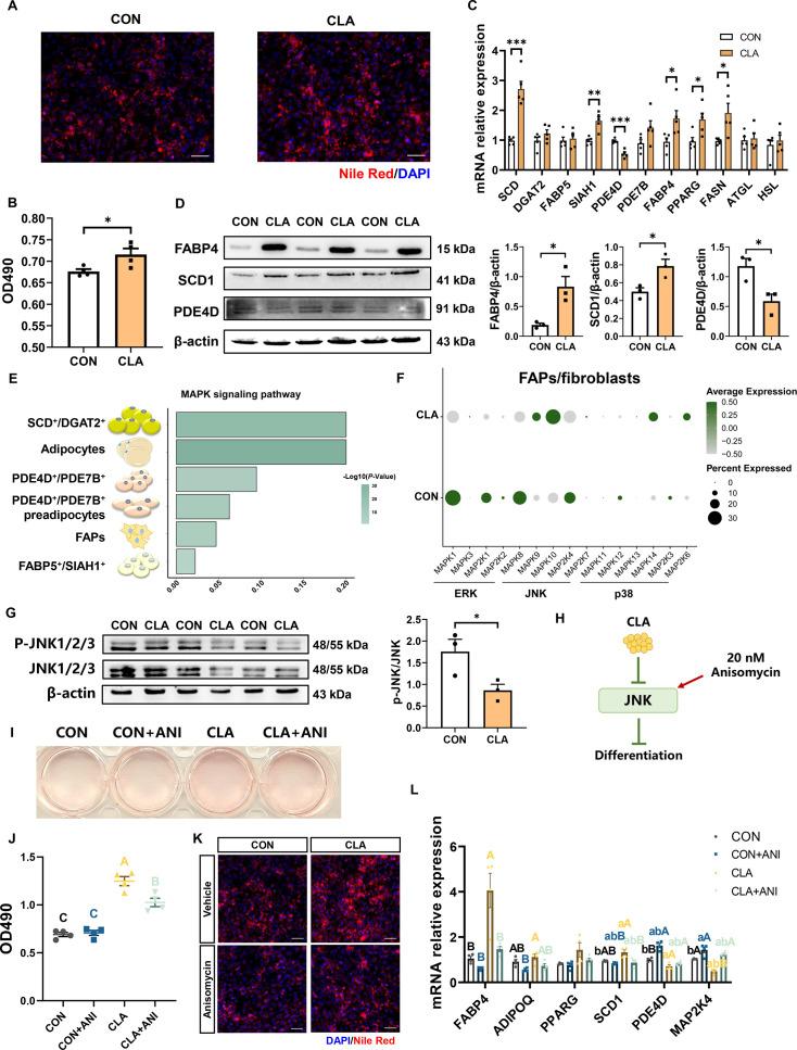 https://cdn.ncbi.nlm.nih.gov/pmc/blobs/b0cd/11888599/37c01ab548cc/elife-99790-fig7.jpg