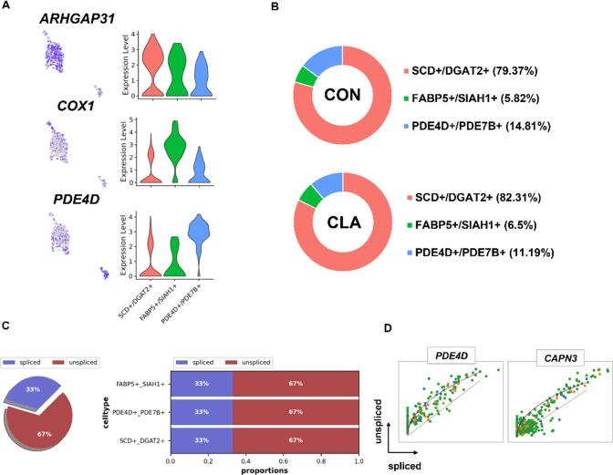 https://cdn.ncbi.nlm.nih.gov/pmc/blobs/b0cd/11888599/638c29649ce7/elife-99790-fig3-figsupp1.jpg
