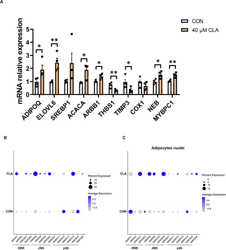 https://cdn.ncbi.nlm.nih.gov/pmc/blobs/b0cd/11888599/8e75f008cf25/elife-99790-fig7-figsupp1.jpg