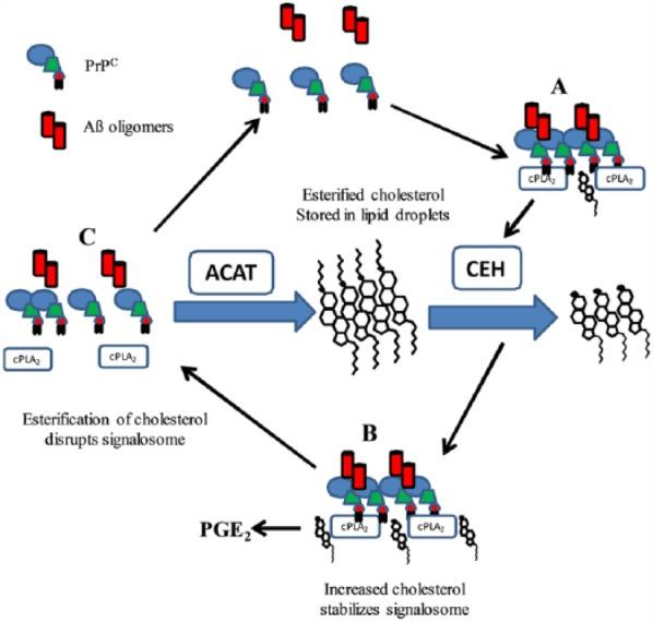 https://cdn.ncbi.nlm.nih.gov/pmc/blobs/b0cd/5721958/14d5d87831a2/10.1177_1179069517733096-fig1.jpg