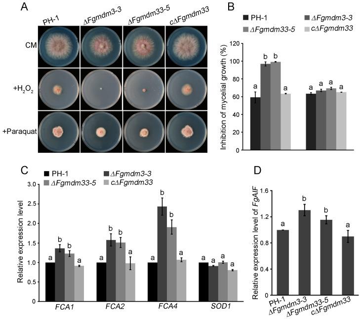 https://cdn.ncbi.nlm.nih.gov/pmc/blobs/b0ce/11355928/d050631d60a3/jof-10-00579-g005.jpg
