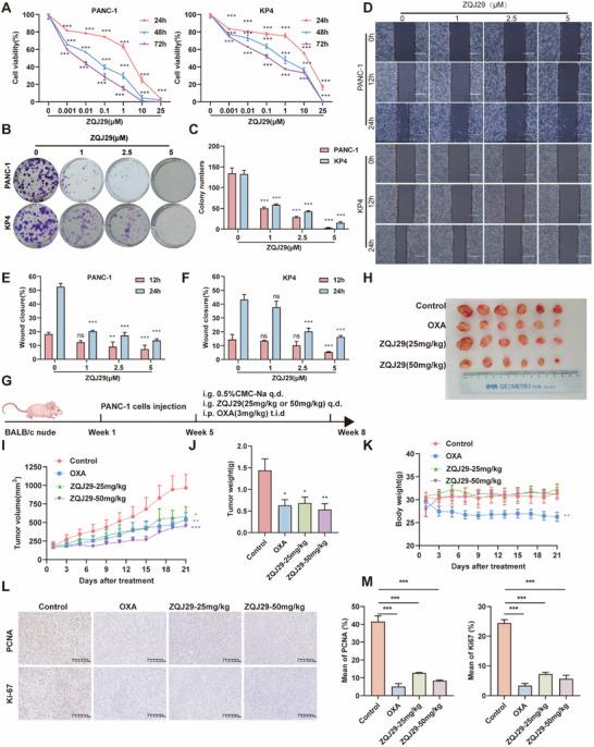 https://cdn.ncbi.nlm.nih.gov/pmc/blobs/b0ce/12362764/e2055fb13ffa/ADVS-12-e01935-g003.jpg