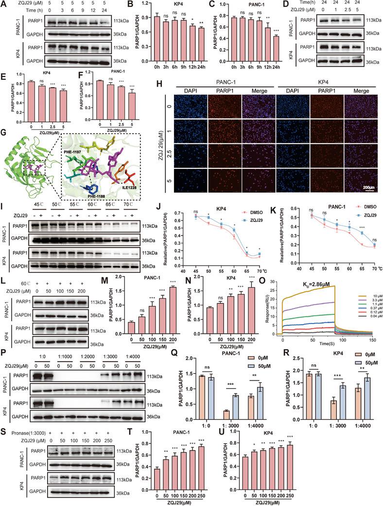 https://cdn.ncbi.nlm.nih.gov/pmc/blobs/b0ce/12362764/e8da9890ba8f/ADVS-12-e01935-g008.jpg