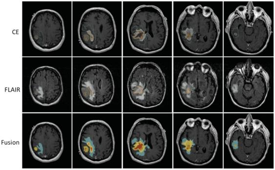 https://cdn.ncbi.nlm.nih.gov/pmc/blobs/b0ce/3187774/479f9cf68870/pone.0025451.g002.jpg