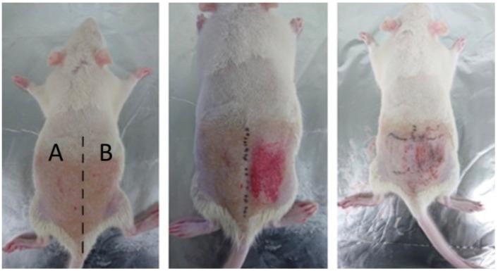 https://cdn.ncbi.nlm.nih.gov/pmc/blobs/b0d0/10099235/11c02ee3866b/sensors-23-03620-g005.jpg
