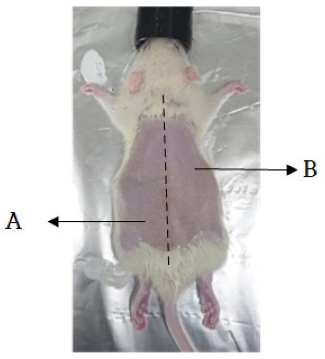 https://cdn.ncbi.nlm.nih.gov/pmc/blobs/b0d0/10099235/972b5aa42e24/sensors-23-03620-g004.jpg