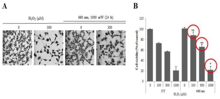 https://cdn.ncbi.nlm.nih.gov/pmc/blobs/b0d0/10099235/ee382789591a/sensors-23-03620-g003.jpg