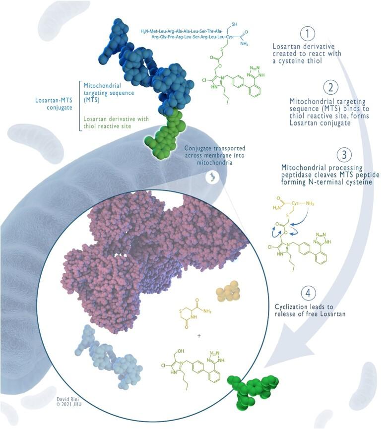 https://cdn.ncbi.nlm.nih.gov/pmc/blobs/b0d1/9802254/bbf3c8fe5878/pgac147fig1.jpg