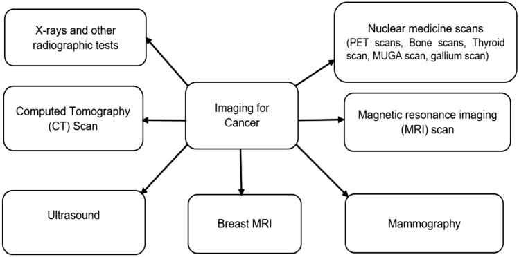 https://cdn.ncbi.nlm.nih.gov/pmc/blobs/b0d4/8475374/a26aae772395/11831_2021_9648_Fig4_HTML.jpg