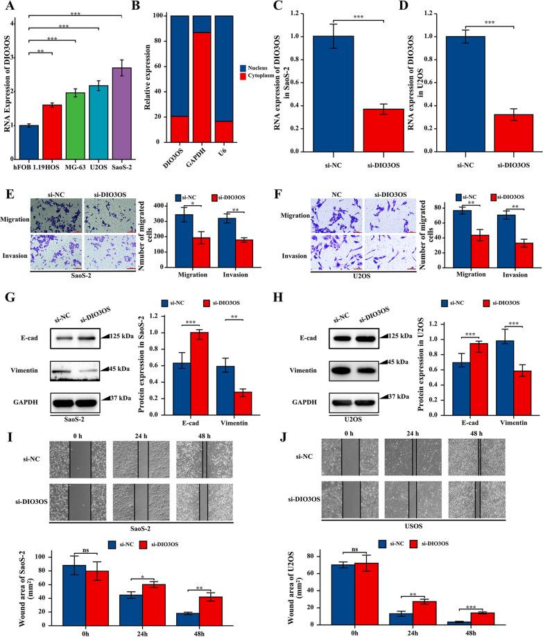 https://cdn.ncbi.nlm.nih.gov/pmc/blobs/b0d5/10521498/02299b0cba50/12935_2023_3076_Fig6_HTML.jpg