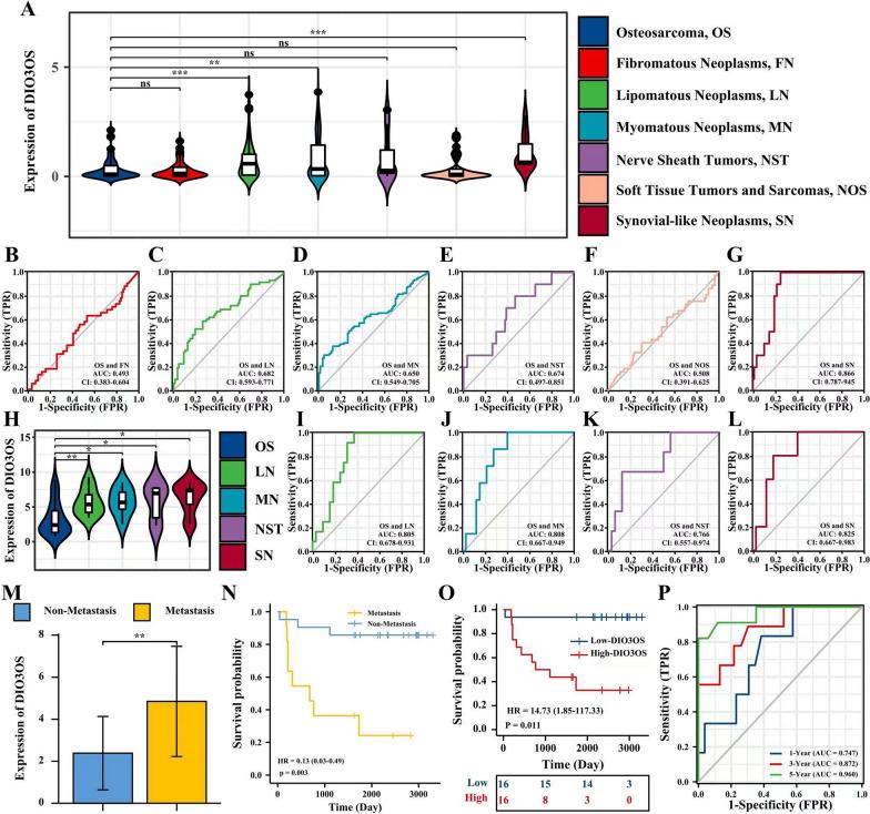 https://cdn.ncbi.nlm.nih.gov/pmc/blobs/b0d5/10521498/95a3d0a76f61/12935_2023_3076_Fig5_HTML.jpg