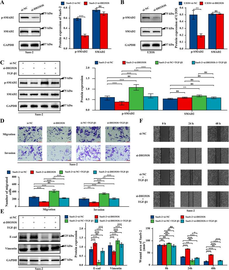 https://cdn.ncbi.nlm.nih.gov/pmc/blobs/b0d5/10521498/a9207db22863/12935_2023_3076_Fig7_HTML.jpg