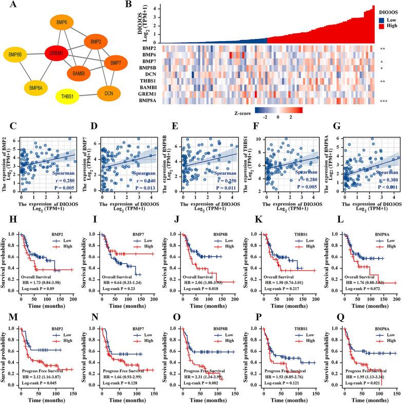 https://cdn.ncbi.nlm.nih.gov/pmc/blobs/b0d5/10521498/b6701e50c751/12935_2023_3076_Fig3_HTML.jpg