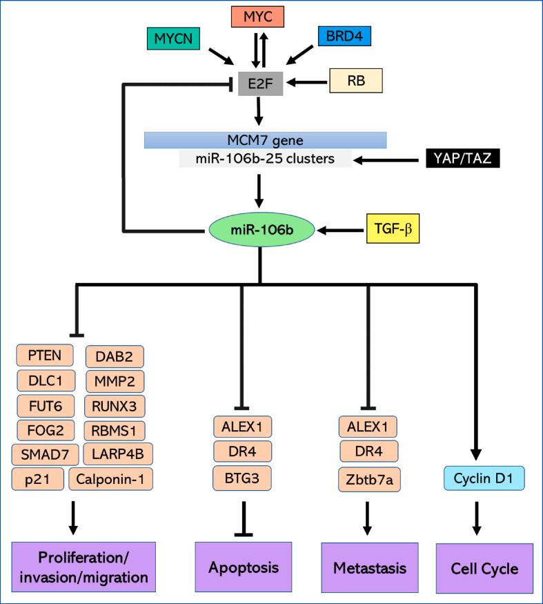 https://cdn.ncbi.nlm.nih.gov/pmc/blobs/b0d5/9170583/44de0f69de4a/gr3.jpg