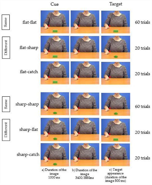 https://cdn.ncbi.nlm.nih.gov/pmc/blobs/b0d6/4586326/e015fda52d98/fpsyg-06-01479-g0004.jpg