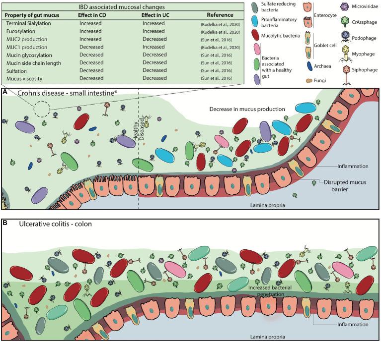 https://cdn.ncbi.nlm.nih.gov/pmc/blobs/b0d6/9853417/1fb74e2bf049/fmicb-13-1083208-g004.jpg