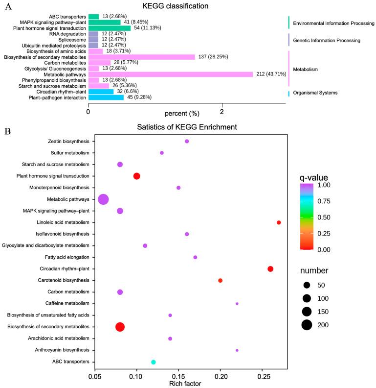 https://cdn.ncbi.nlm.nih.gov/pmc/blobs/b0d8/10707931/613ab3410bd0/molecules-28-07892-g006.jpg