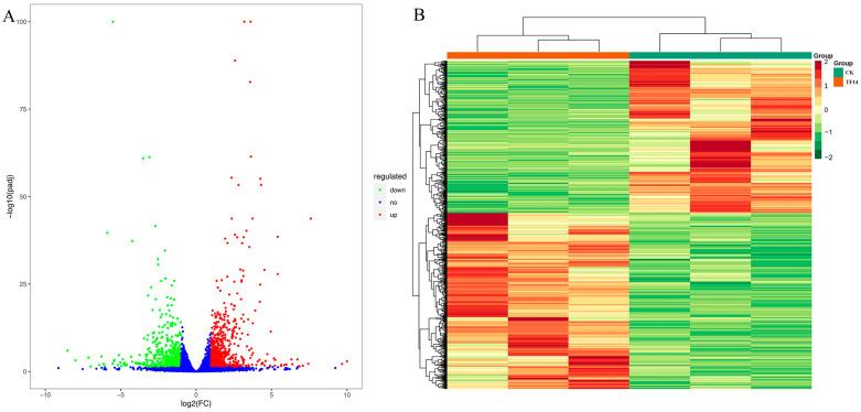 https://cdn.ncbi.nlm.nih.gov/pmc/blobs/b0d8/10707931/cd8210ac8af9/molecules-28-07892-g004.jpg