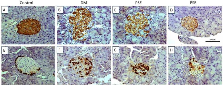 https://cdn.ncbi.nlm.nih.gov/pmc/blobs/b0d8/11644521/d1c0852802df/nutrients-16-04158-g002.jpg
