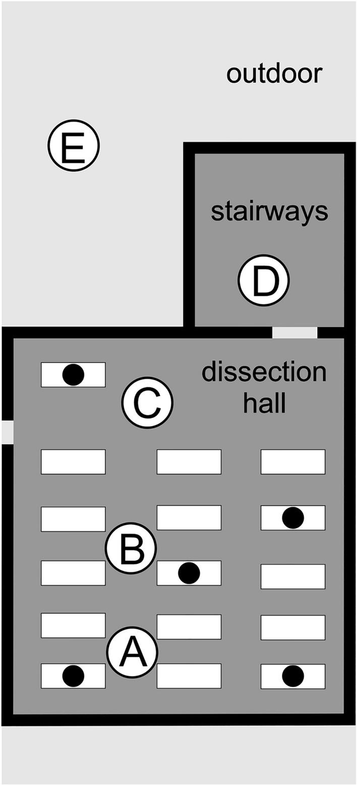 https://cdn.ncbi.nlm.nih.gov/pmc/blobs/b0da/11330451/d6917661c529/41598_2024_69659_Fig3_HTML.jpg