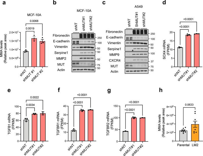 https://cdn.ncbi.nlm.nih.gov/pmc/blobs/b0da/9050834/1739661b225c/nihms-1781248-f0007.jpg