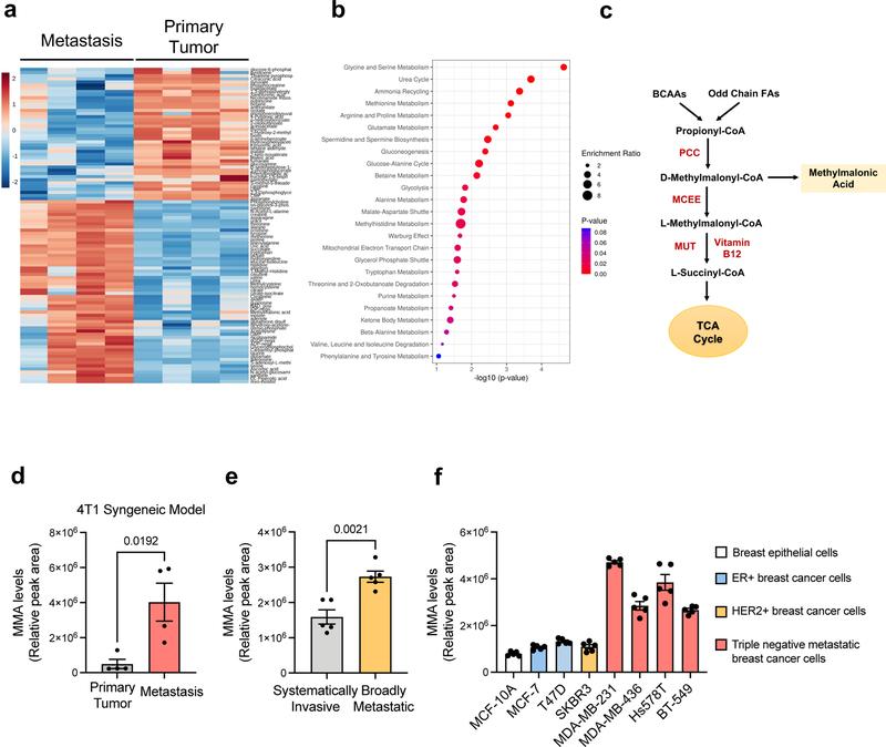 https://cdn.ncbi.nlm.nih.gov/pmc/blobs/b0da/9050834/1f331c80e32e/nihms-1781248-f0001.jpg