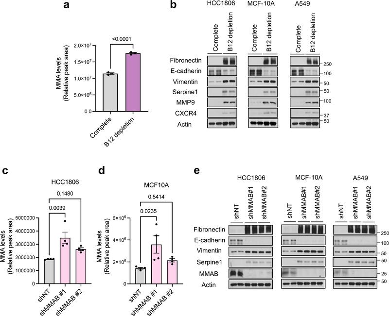 https://cdn.ncbi.nlm.nih.gov/pmc/blobs/b0da/9050834/47c070bcc330/nihms-1781248-f0008.jpg