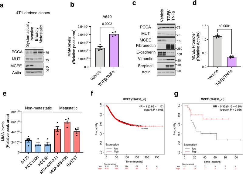https://cdn.ncbi.nlm.nih.gov/pmc/blobs/b0da/9050834/8922f6ec9b17/nihms-1781248-f0005.jpg